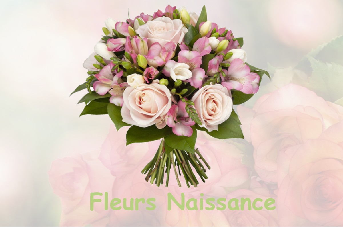 fleurs naissance SAINT-MAIXENT-DE-BEUGNE